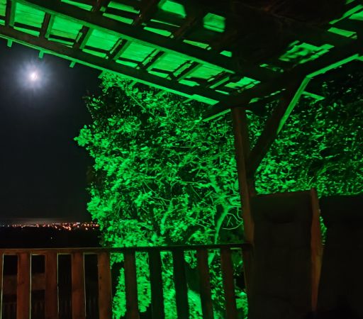 bahce ısıgı ve dolunay gece